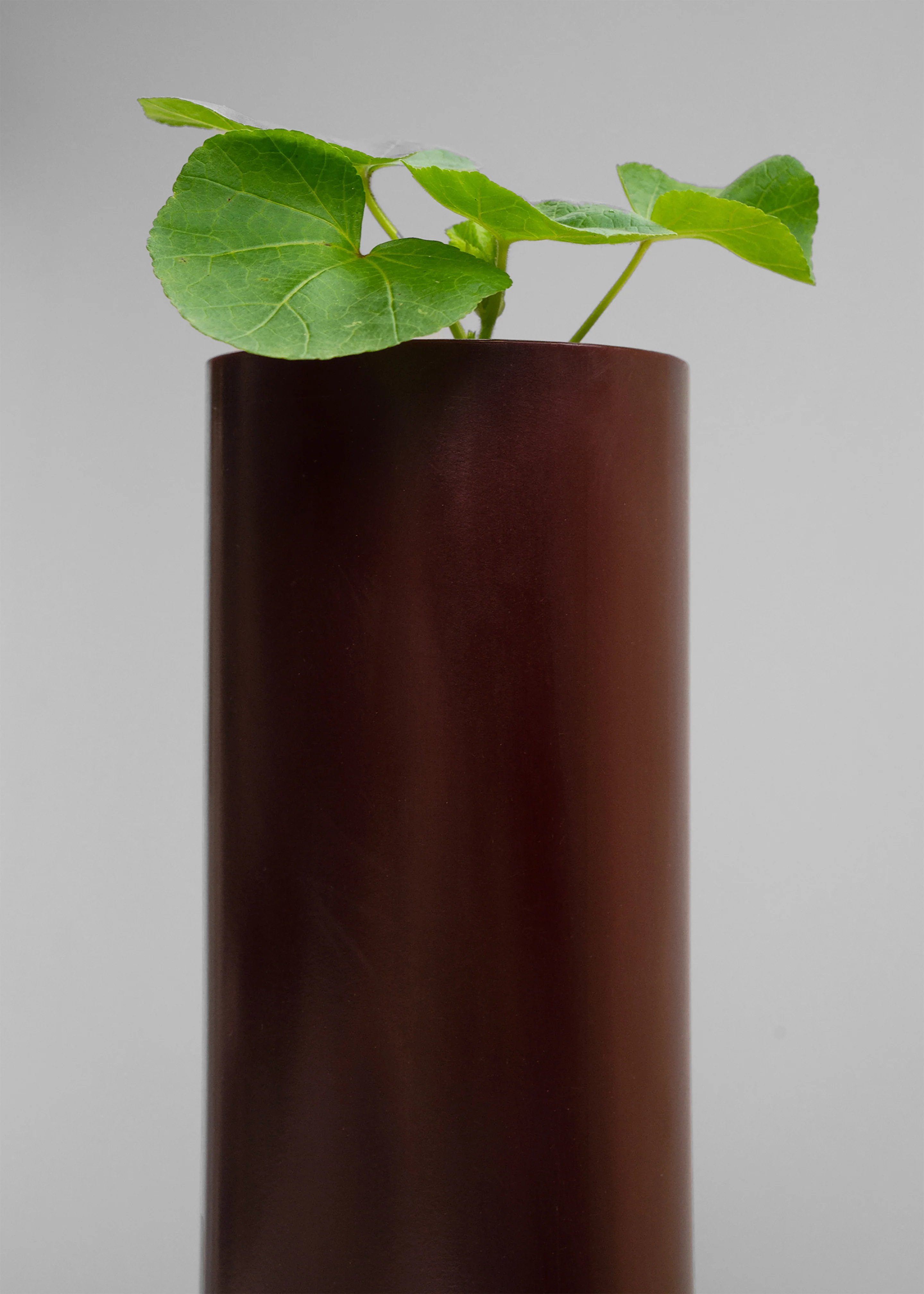 Ann Vincent Cave Vase - Burgundy - Image 3
