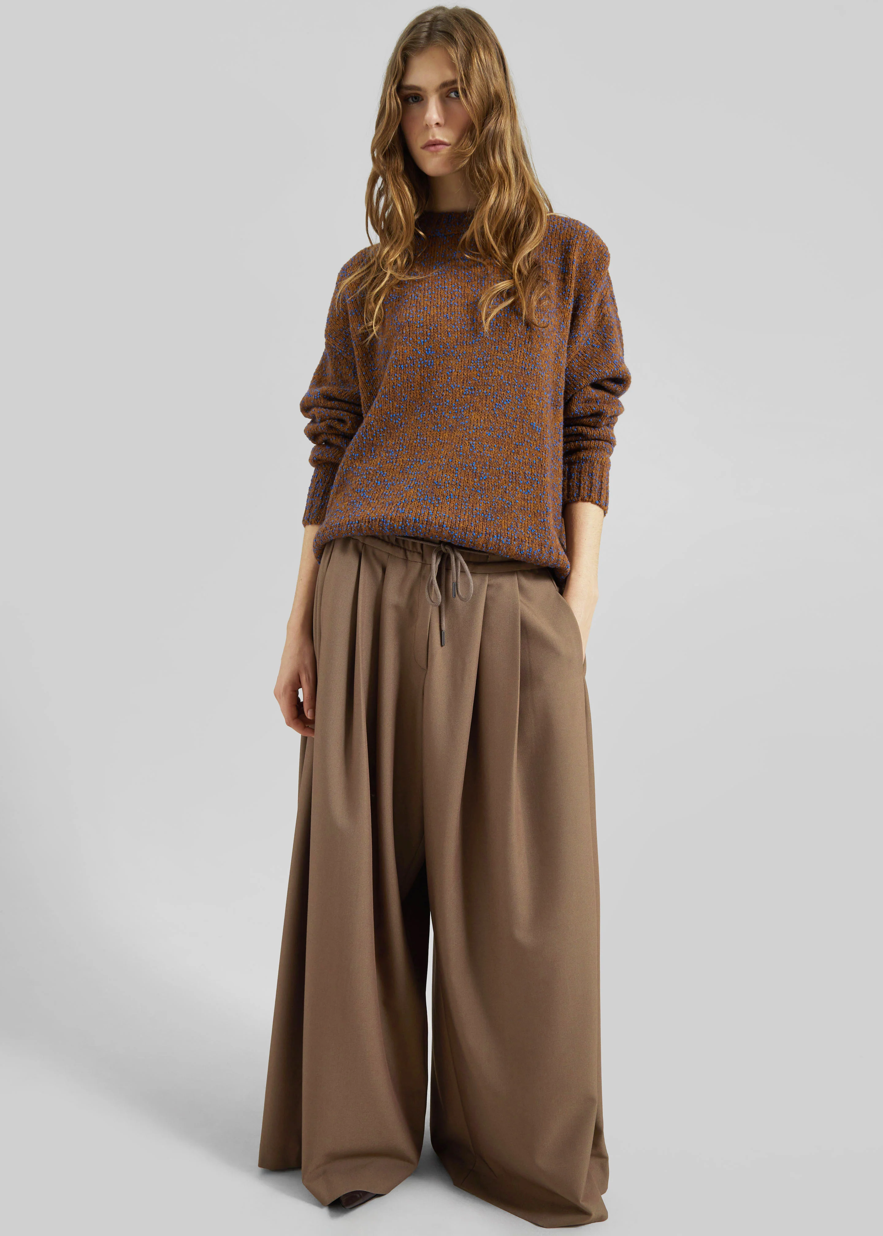 Corlen Pleated Wide Pants - Brown - Image 4