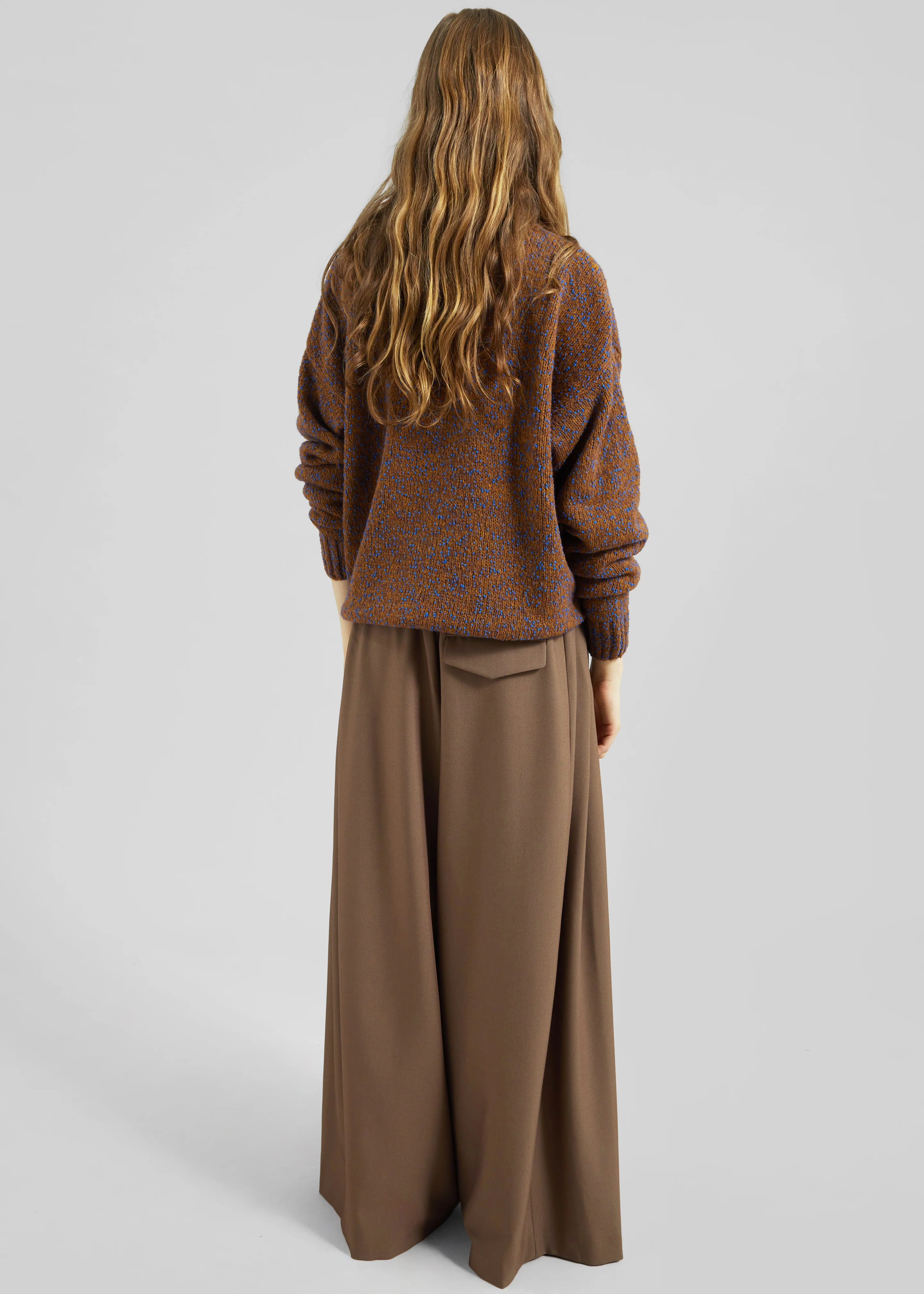 Corlen Pleated Wide Pants - Brown - Image 7