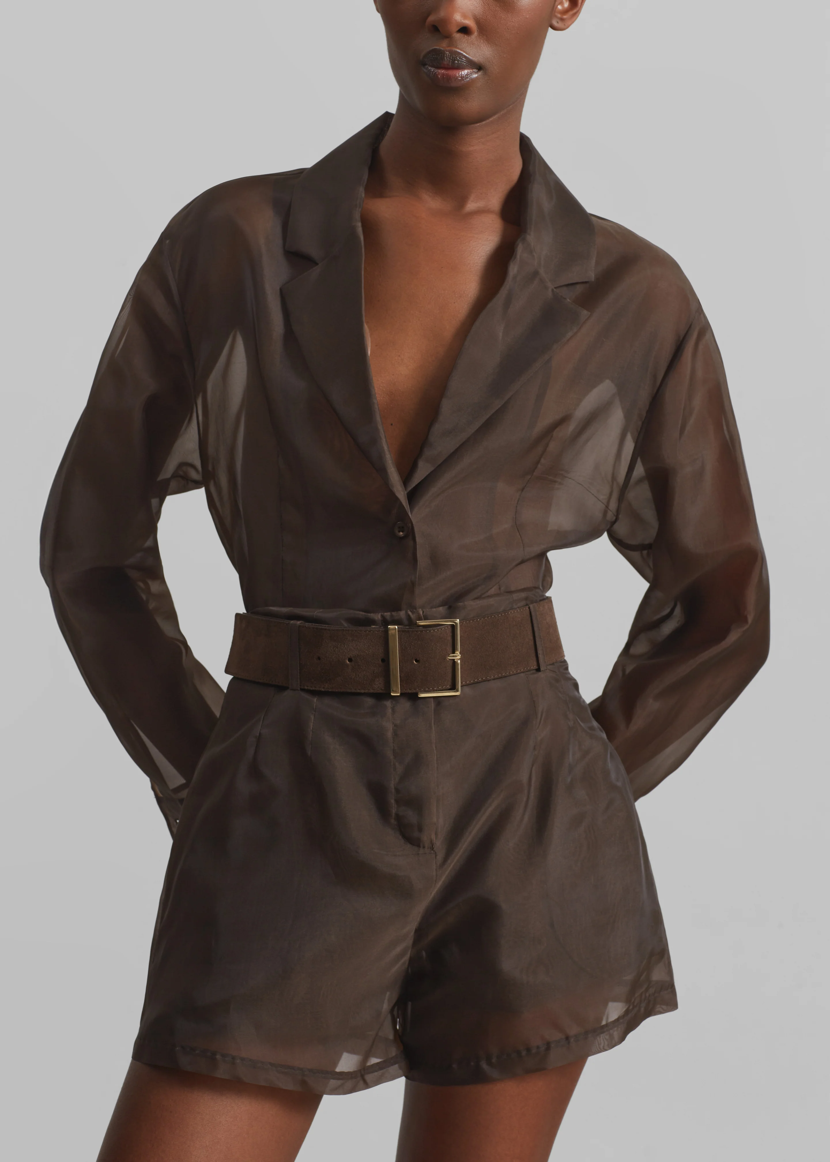 Lise Sheer Blazer - Brown - Image 3