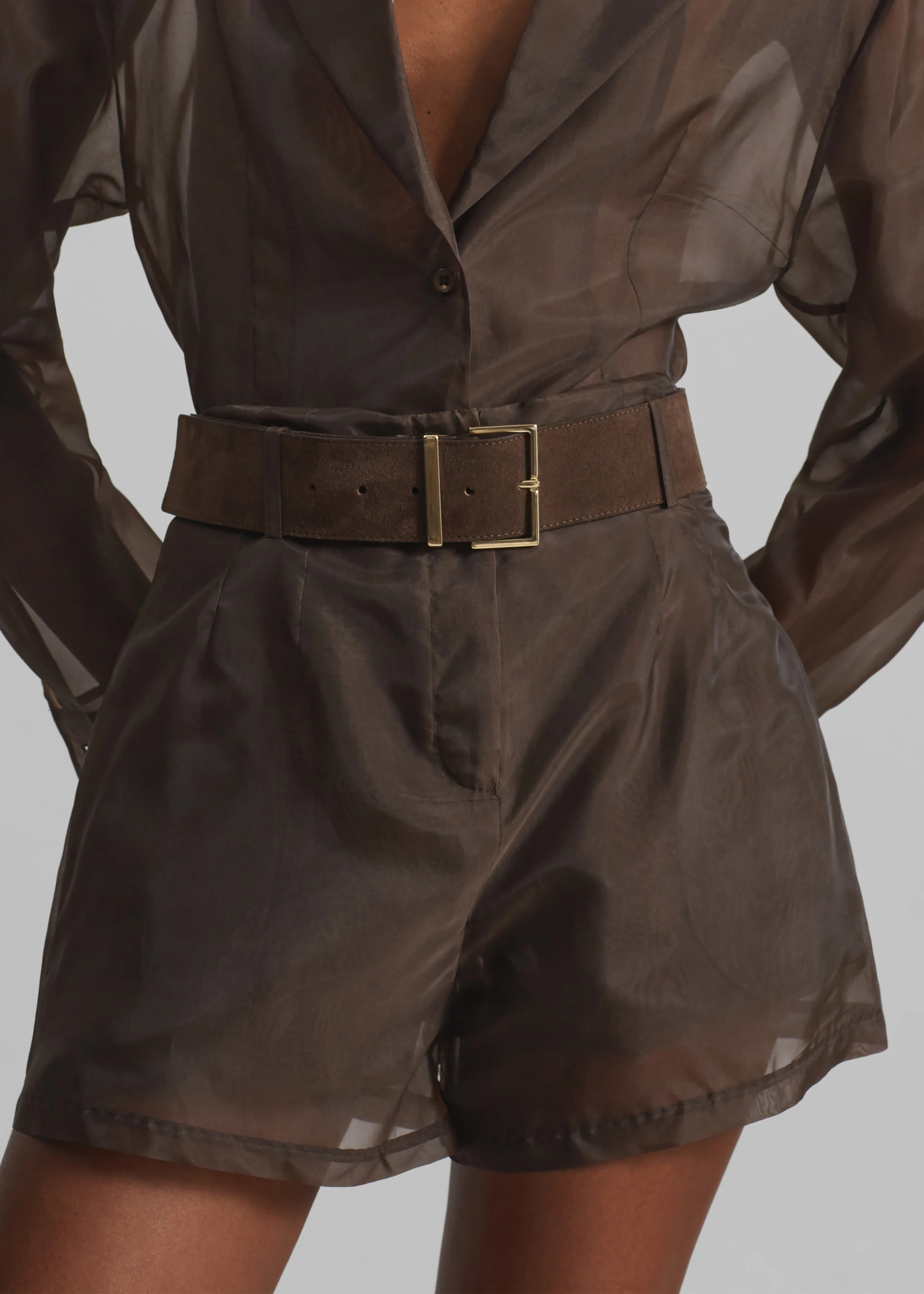Lise Sheer Shorts - Brown - Image 3