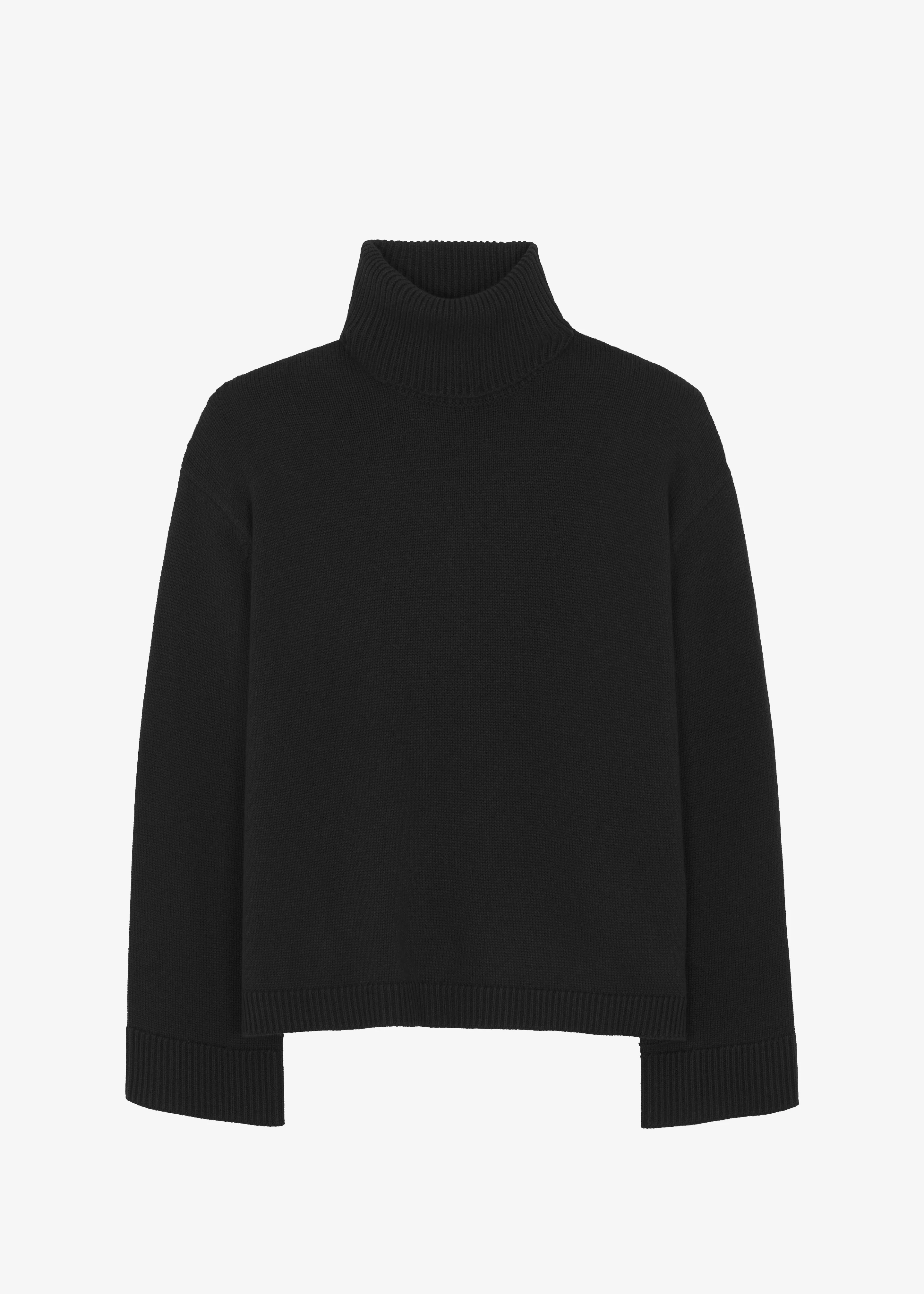 Rhea Trapeze Turtleneck - Black - Image 17